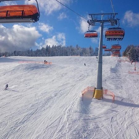 Willa Male Alpy 300 M Od Kompleksow Narciarskich クリニツァ・ズドルイ エクステリア 写真