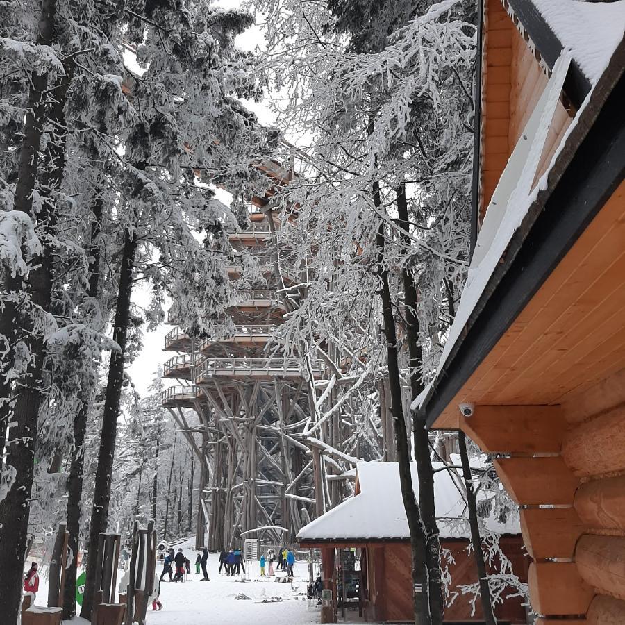 Willa Male Alpy 300 M Od Kompleksow Narciarskich クリニツァ・ズドルイ エクステリア 写真